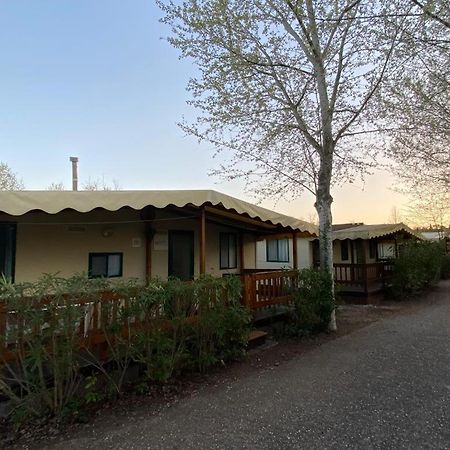 Zona Rosa 5 Chalet Mit Klimaanlage Und Wlan Viareggio Luaran gambar